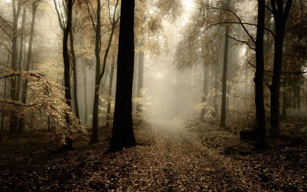 Autumn