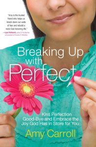 Amy Carrol's book cover